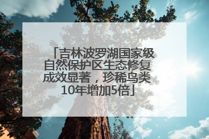 吉林波罗湖国家级自然保护区生态修复成效显著，珍稀鸟类10年增加5倍