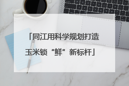 同江用科学规划打造玉米锁“鲜”新标杆
