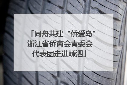 同舟共建“侨爱岛” 浙江省侨商会青委会代表团走进嵊泗