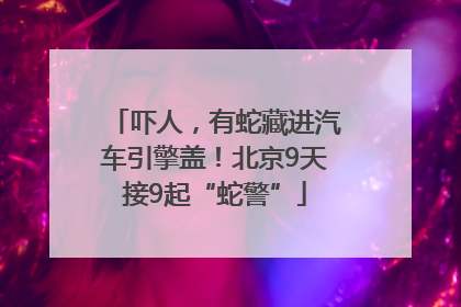 吓人，有蛇藏进汽车引擎盖！北京9天接9起“蛇警”