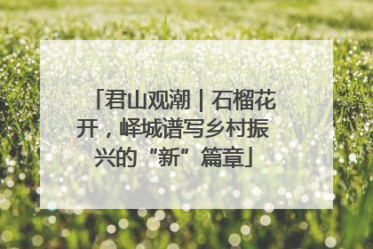 君山观潮｜石榴花开，峄城谱写乡村振兴的“新”篇章