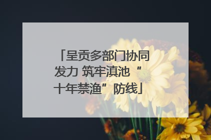 呈贡多部门协同发力 筑牢滇池“十年禁渔”防线