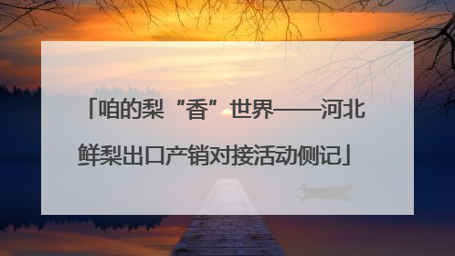 咱的梨“香”世界——河北鲜梨出口产销对接活动侧记