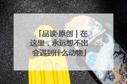 品读·原创｜在这里，永远想不出会遇到什么动物