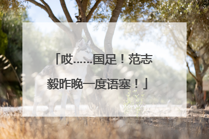 哎……国足！范志毅昨晚一度语塞！