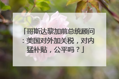 哥斯达黎加前总统顾问：美国对外加关税，对内猛补贴，公平吗？