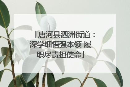 唐河县泗洲街道：深学细悟强本领 履职尽责担使命