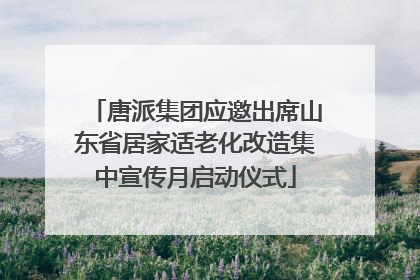 唐派集团应邀出席山东省居家适老化改造集中宣传月启动仪式