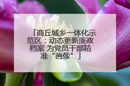 商丘城乡一体化示范区：动态更新廉政档案 为党员干部精准“画像”