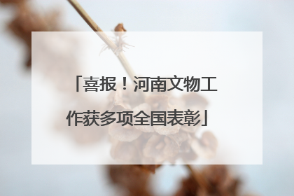 喜报！河南文物工作获多项全国表彰