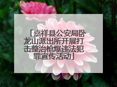 嘉祥县公安局卧龙山派出所开展打击整治枪爆违法犯罪宣传活动