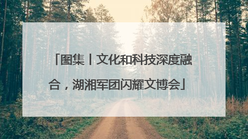 图集丨文化和科技深度融合，湖湘军团闪耀文博会
