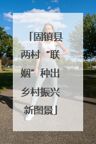 固镇县两村“联姻”种出乡村振兴新图景
