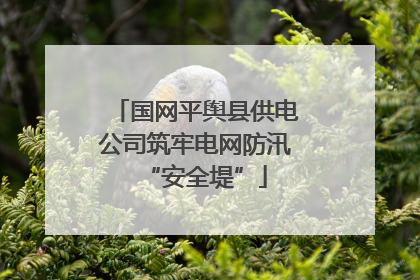 国网平舆县供电公司筑牢电网防汛“安全堤”