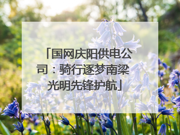 国网庆阳供电公司：骑行逐梦南梁 光明先锋护航