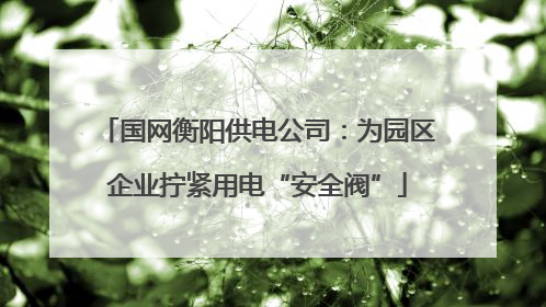 国网衡阳供电公司：为园区企业拧紧用电“安全阀”