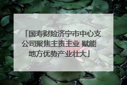 国寿财险济宁市中心支公司聚焦主责主业 赋能地方优势产业壮大