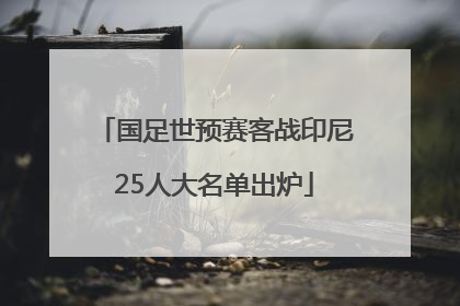 国足世预赛客战印尼25人大名单出炉