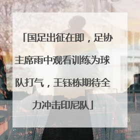 国足出征在即，足协主席雨中观看训练为球队打气，王钰栋期待全力冲击印尼队