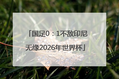 国足0：1不敌印尼 无缘2026年世界杯
