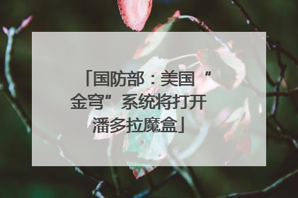 国防部：美国“金穹”系统将打开潘多拉魔盒