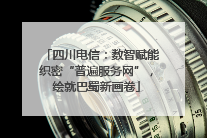 四川电信：数智赋能织密“普遍服务网”，绘就巴蜀新画卷