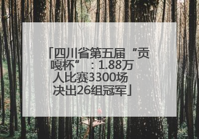 四川省第五届“贡嘎杯”：1.88万人比赛3300场 决出26组冠军