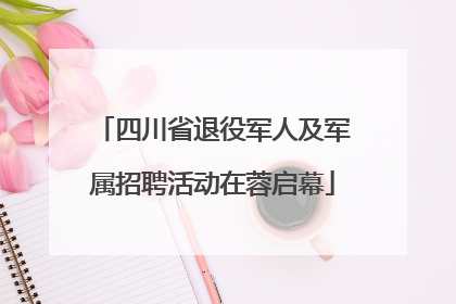 四川省退役军人及军属招聘活动在蓉启幕