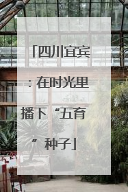 四川宜宾：在时光里播下“五育”种子