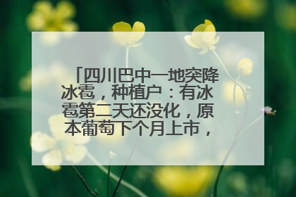 四川巴中一地突降冰雹，种植户：有冰雹第二天还没化，原本葡萄下个月上市，现在全被打落