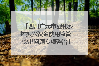四川广元市强化乡村振兴资金使用监管突出问题专项整治