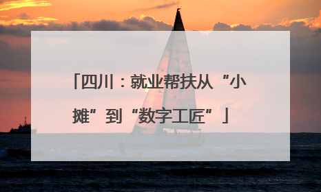 四川：就业帮扶从“小摊”到“数字工匠”