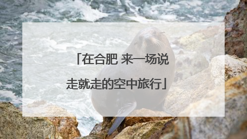 在合肥 来一场说走就走的空中旅行