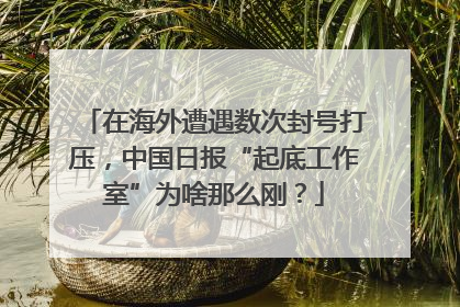 在海外遭遇数次封号打压，中国日报“起底工作室”为啥那么刚？