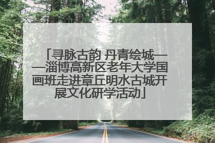 寻脉古韵 丹青绘城——淄博高新区老年大学国画班走进章丘明水古城开展文化研学活动