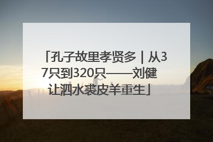 孔子故里孝贤多｜从37只到320只——刘健让泗水裘皮羊重生