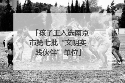 孩子王入选南京市第七批“文明实践伙伴”单位