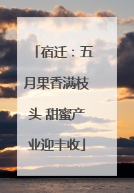 宿迁：五月果香满枝头 甜蜜产业迎丰收