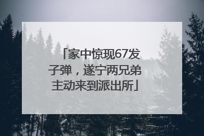家中惊现67发子弹，遂宁两兄弟主动来到派出所