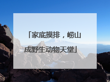 家底摸排，崂山成野生动物天堂