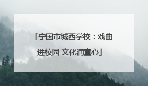 宁国市城西学校：戏曲进校园 文化润童心