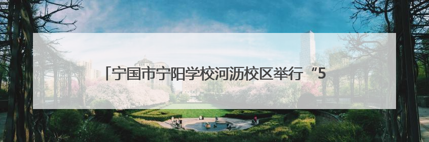 宁国市宁阳学校河沥校区举行“5・25 心理健康周”系列活动