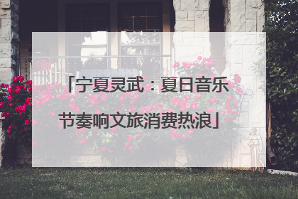 宁夏灵武：夏日音乐节奏响文旅消费热浪