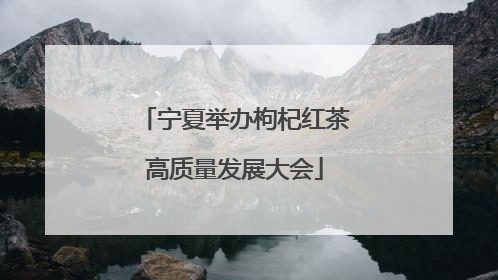 宁夏举办枸杞红茶高质量发展大会