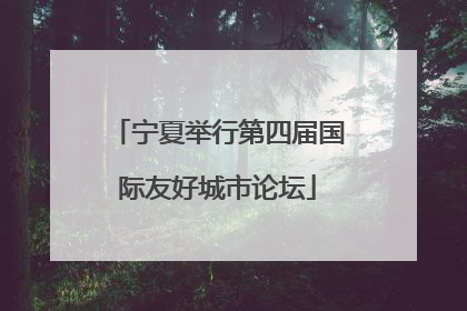宁夏举行第四届国际友好城市论坛