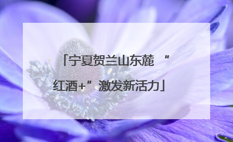 宁夏贺兰山东麓 “红酒+”激发新活力