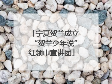 宁夏贺兰成立“贺兰少年说”红领巾宣讲团