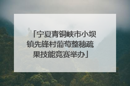 宁夏青铜峡市小坝镇先锋村葡萄整穗疏果技能竞赛举办