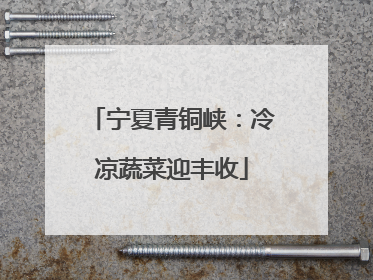 宁夏青铜峡：冷凉蔬菜迎丰收