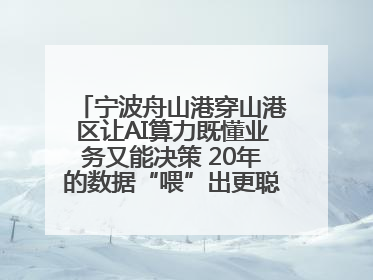 宁波舟山港穿山港区让AI算力既懂业务又能决策 20年的数据“喂”出更聪明的港口